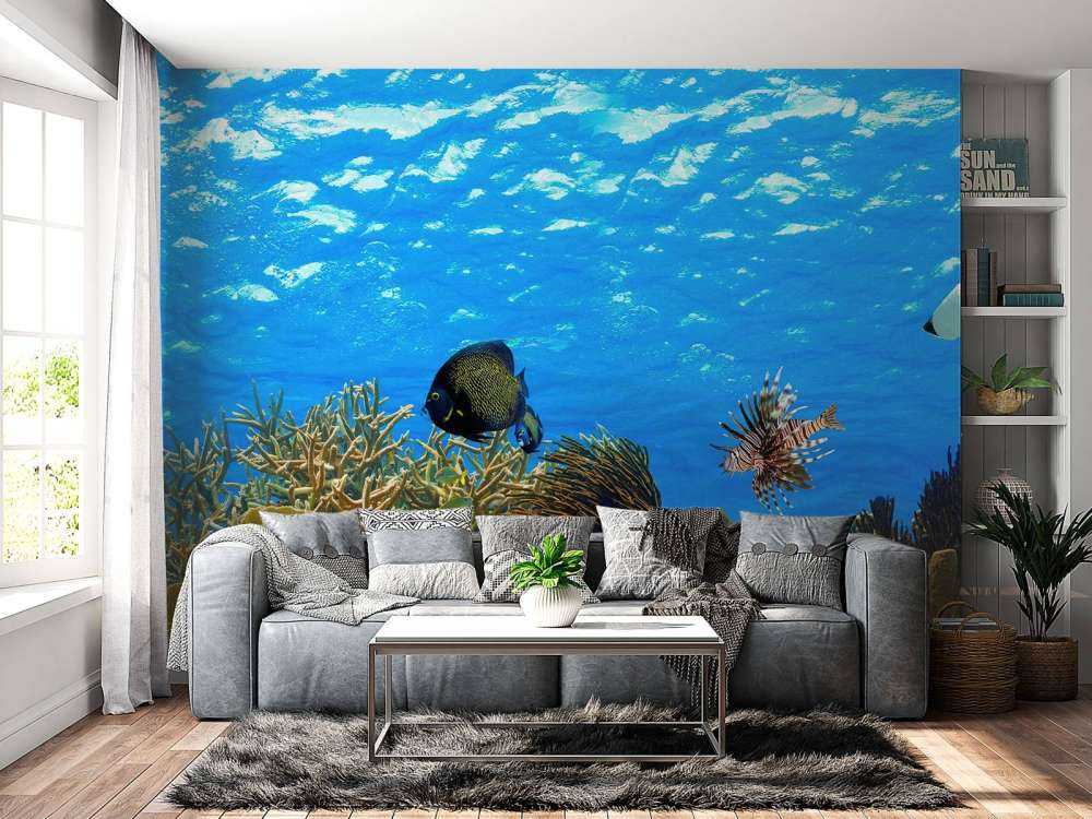 Underwater panorama