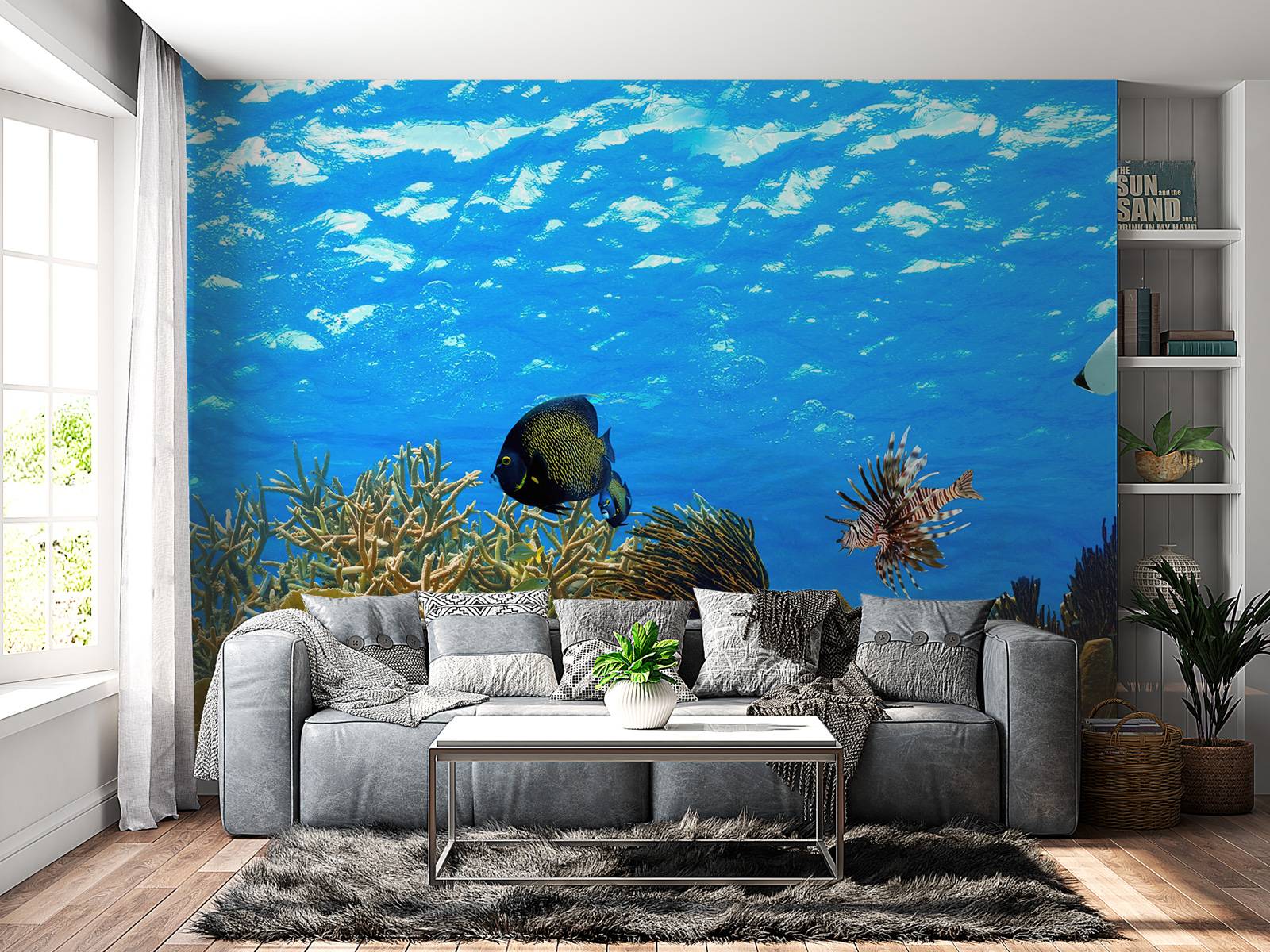 Underwater panorama