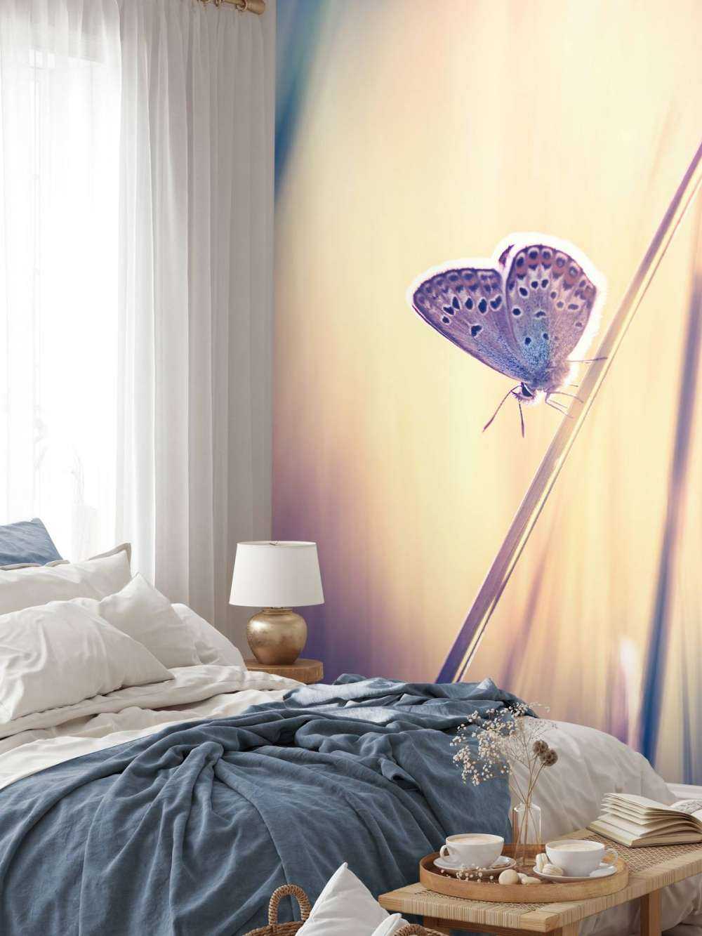 Dreamy butterfly
