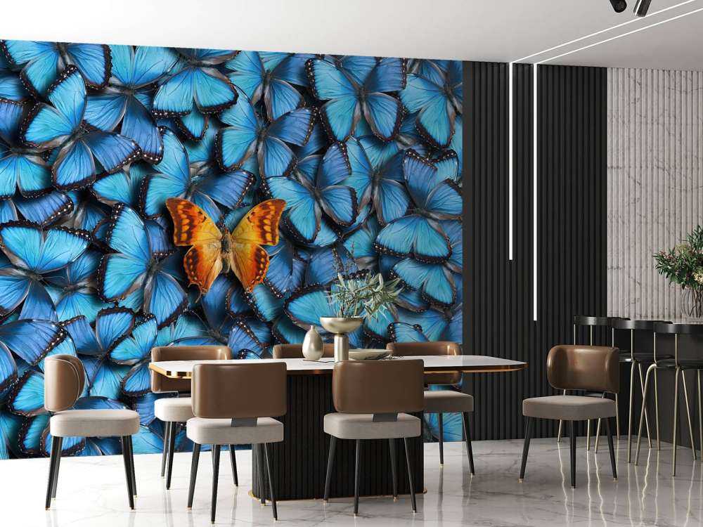 Butterfly composition