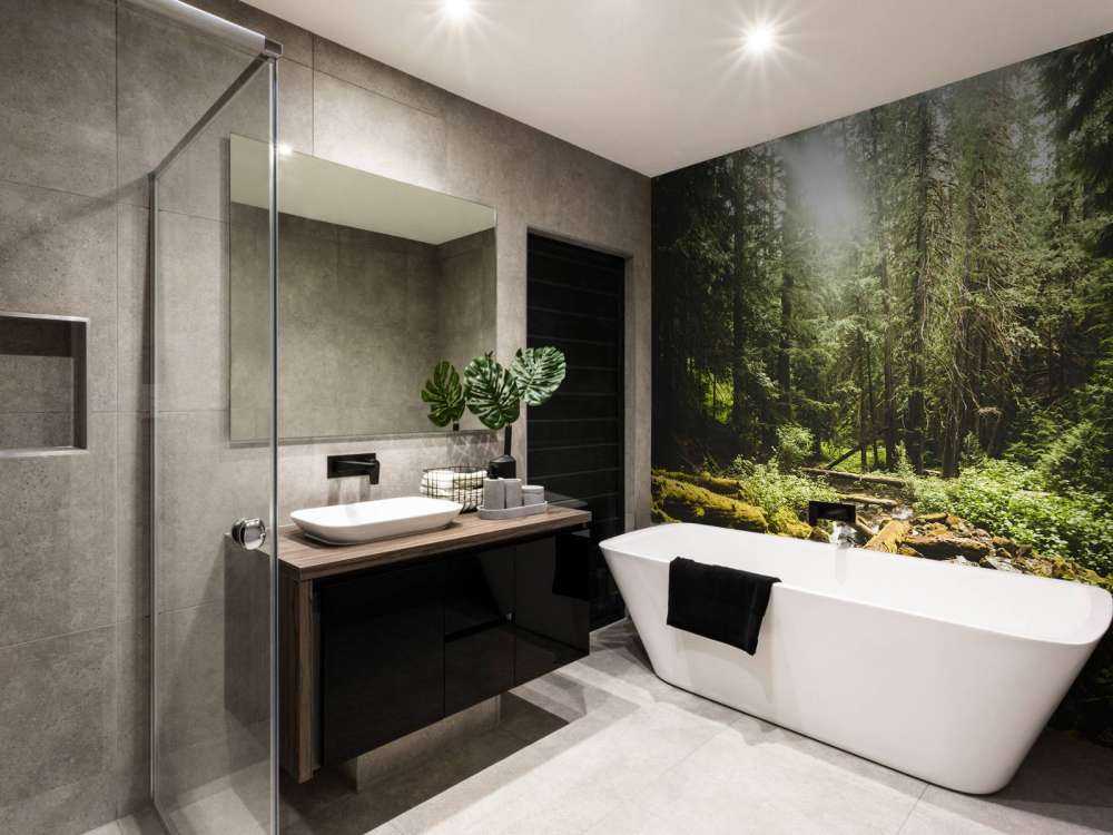 Waterfall in a forest