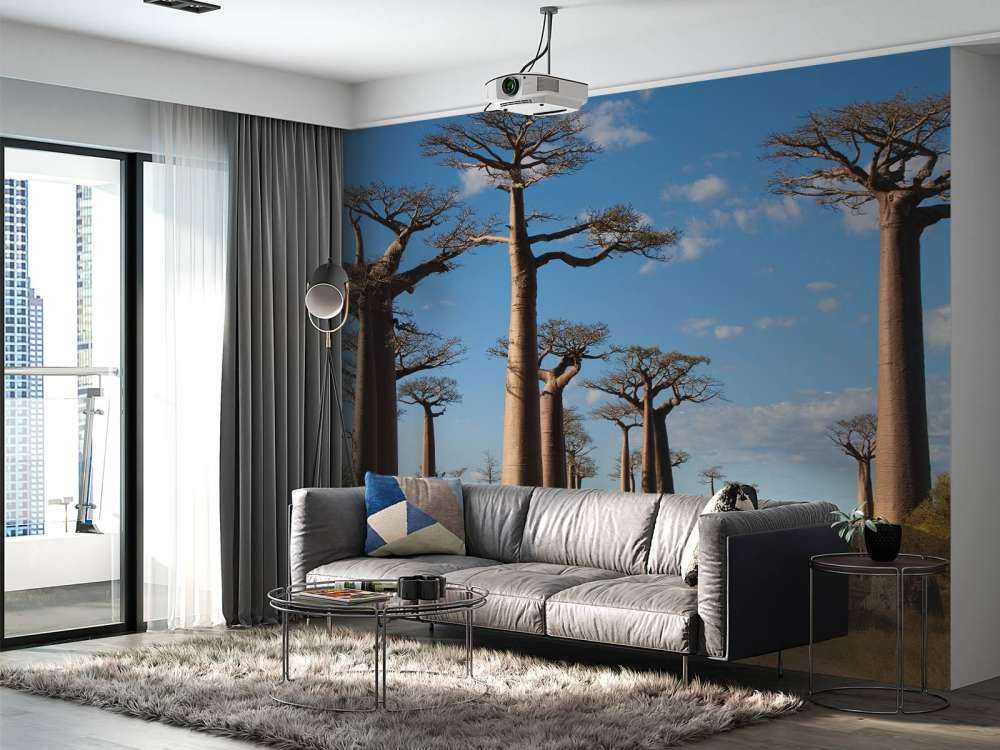 Baobab trees