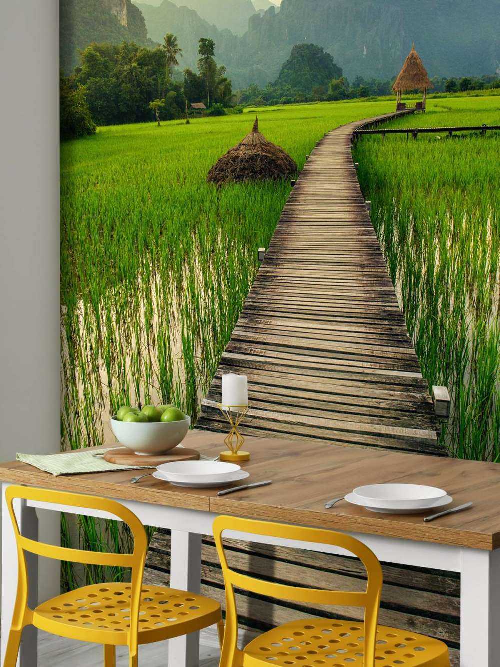 Wooden scaffolding through a rice field