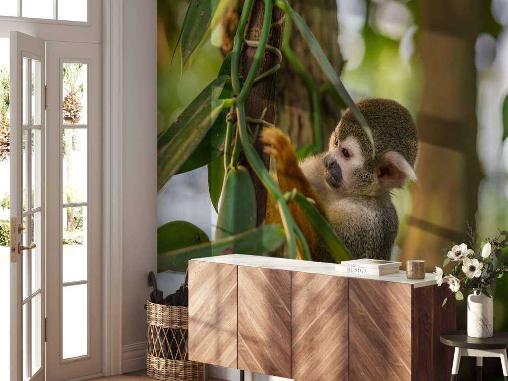 Small monkey in the trees