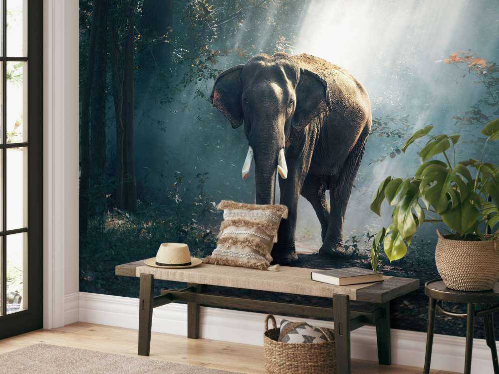 Elephant in a jungle
