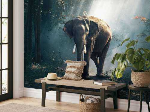 Elephant in a jungle
