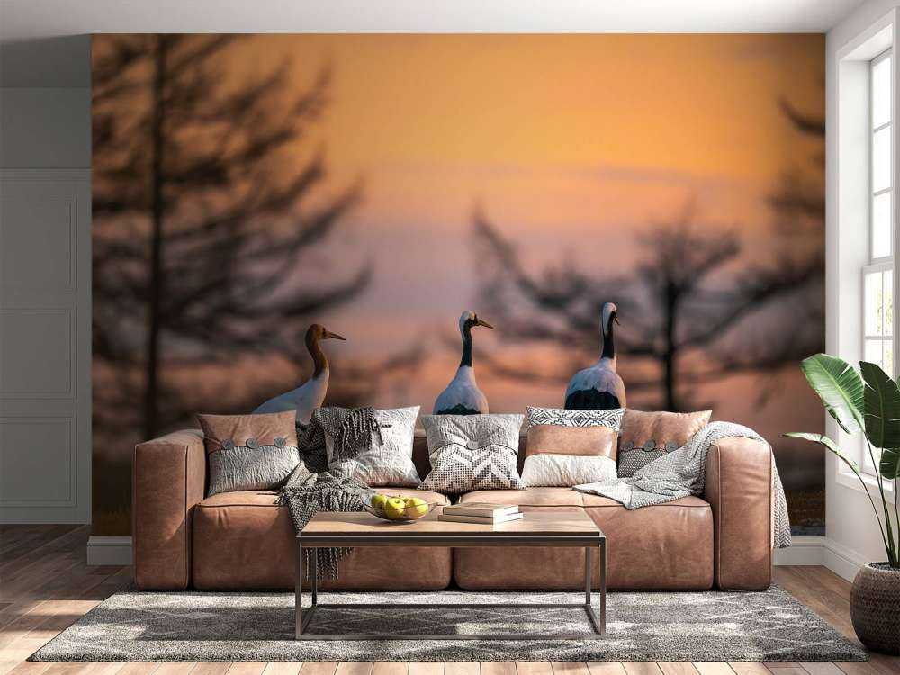 Kraanvogels bij zonsondergang