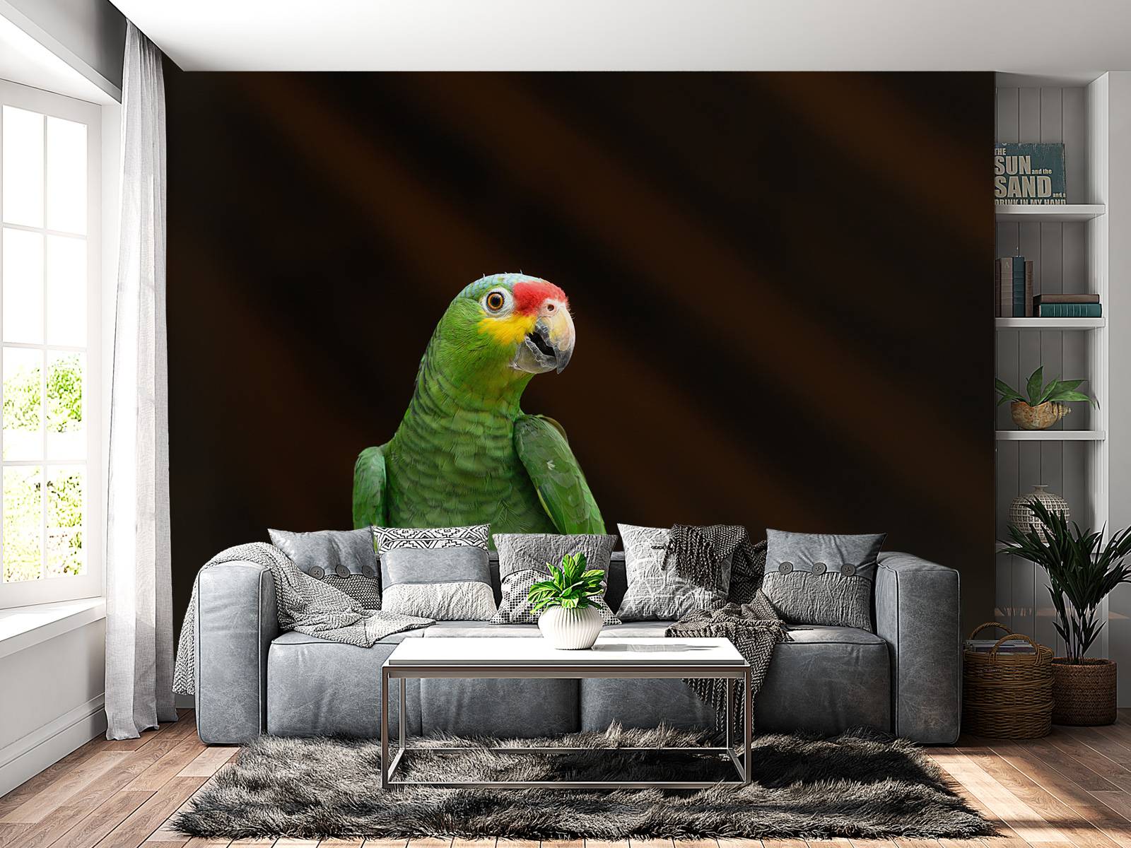 Curious parrot