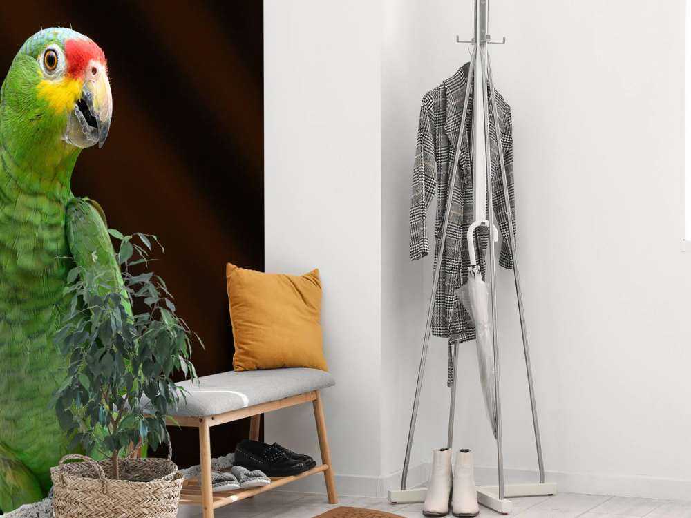 Curious parrot