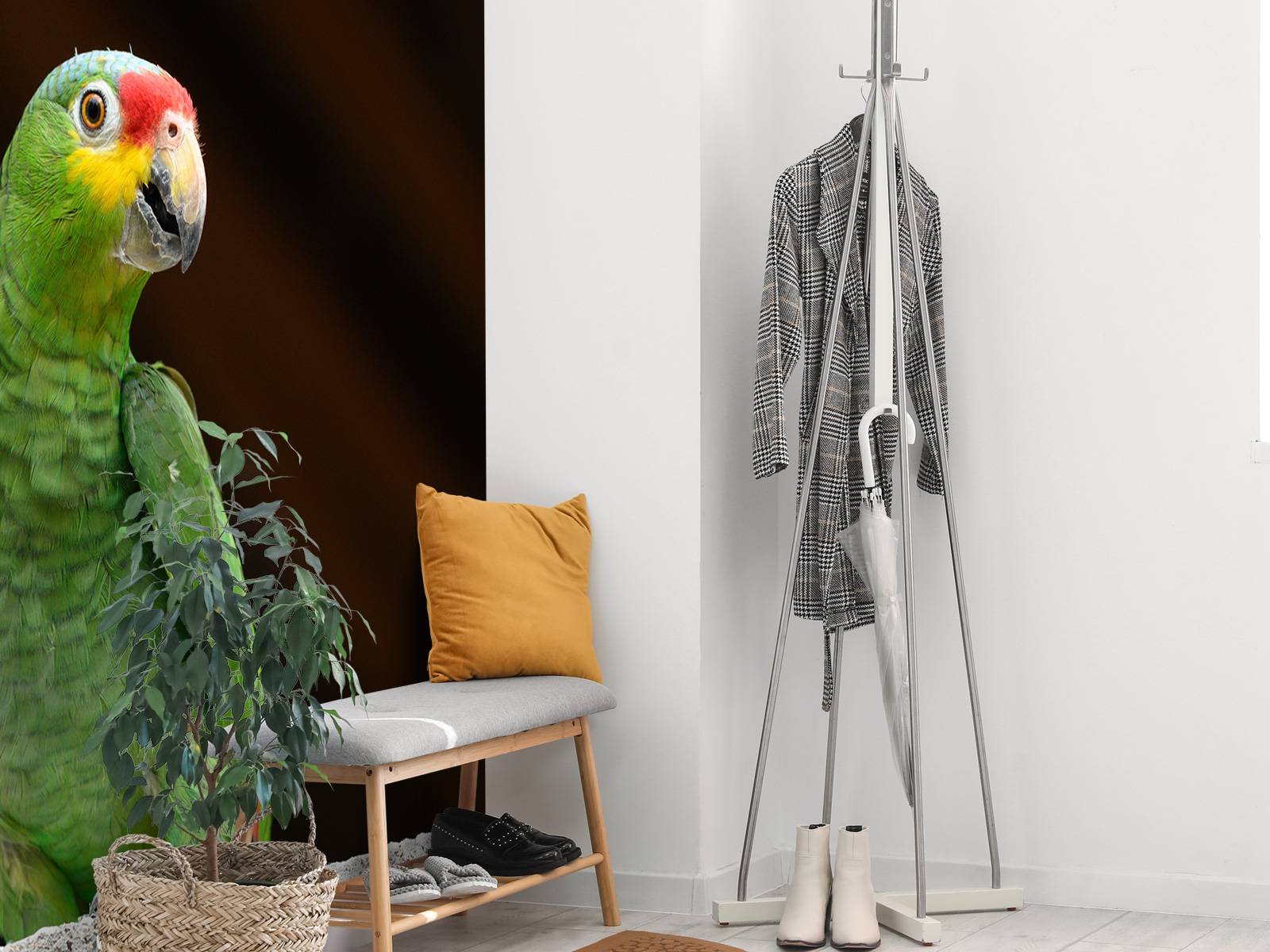 Curious parrot