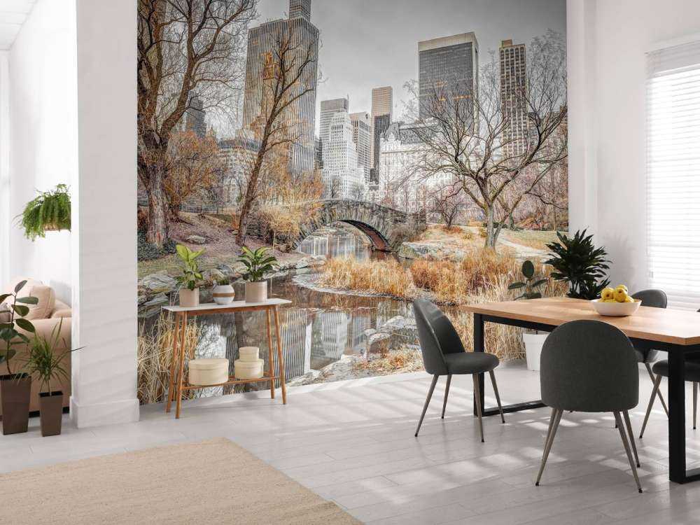 Central park in winter