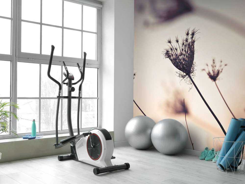 Silhouettes of plants