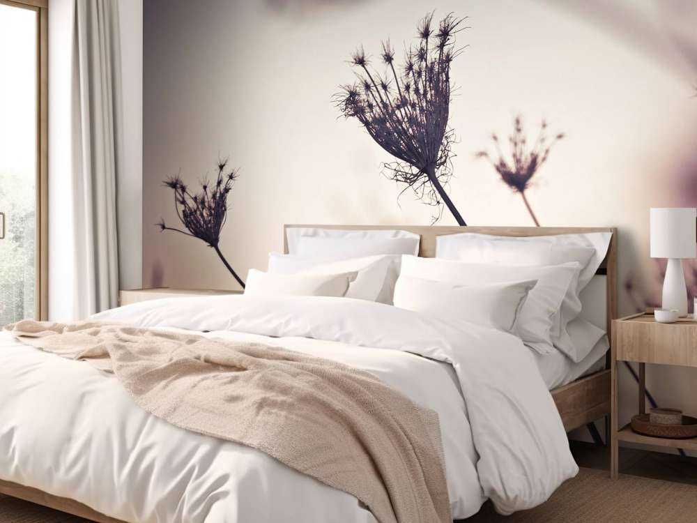 Silhouettes of plants