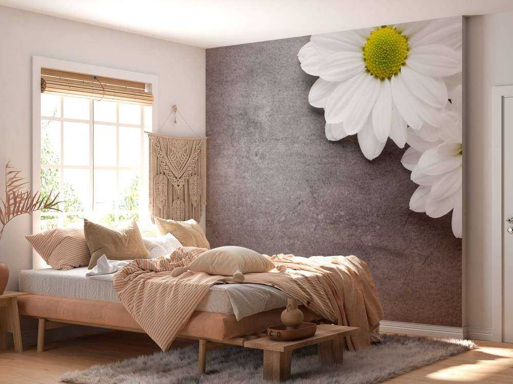 Daisies and concrete