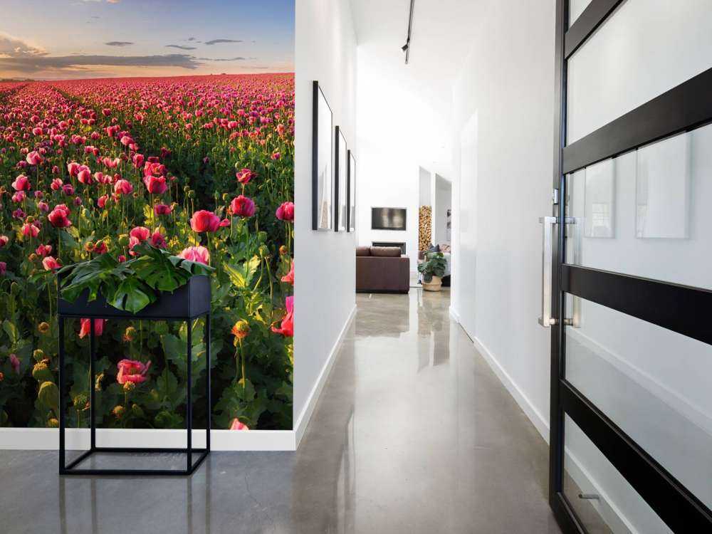 Pink poppies field