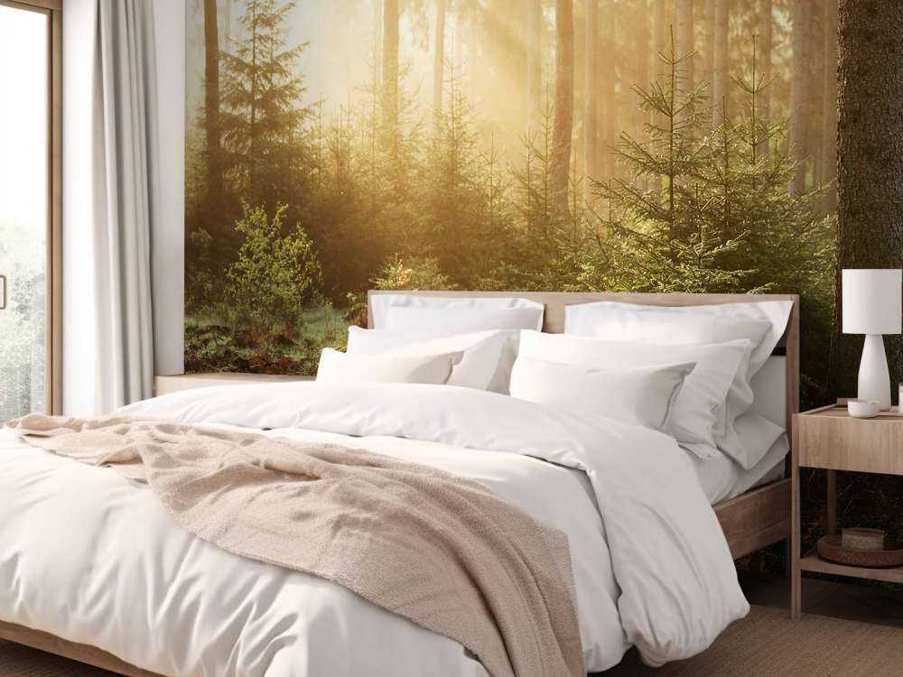 Sunbeams through forest