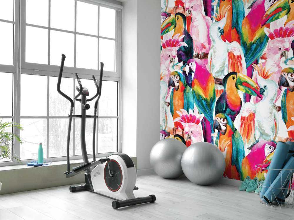 Tropical coloured birds