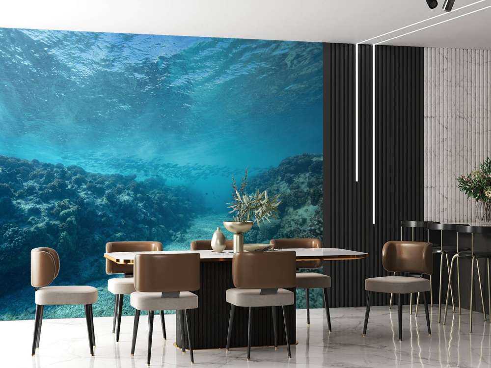 Underwater world with coral