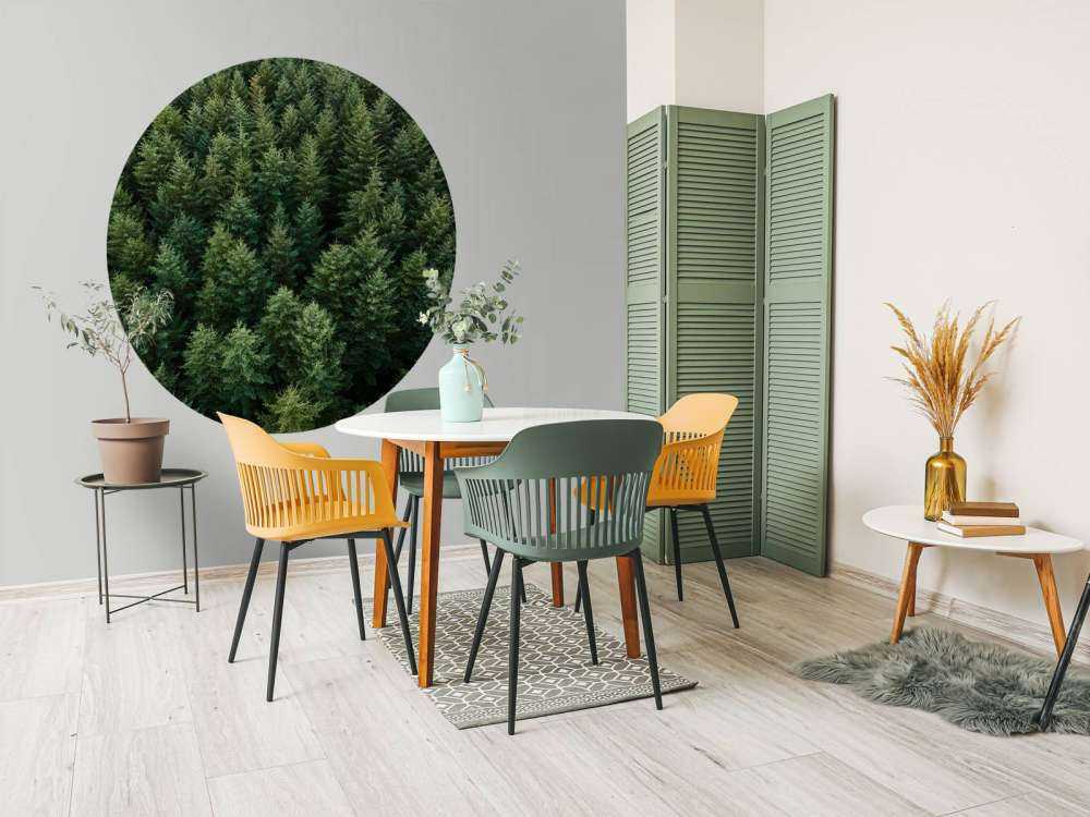 Douglas firs from above