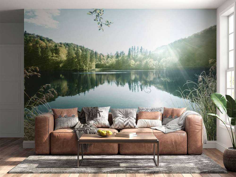 Lake in forest