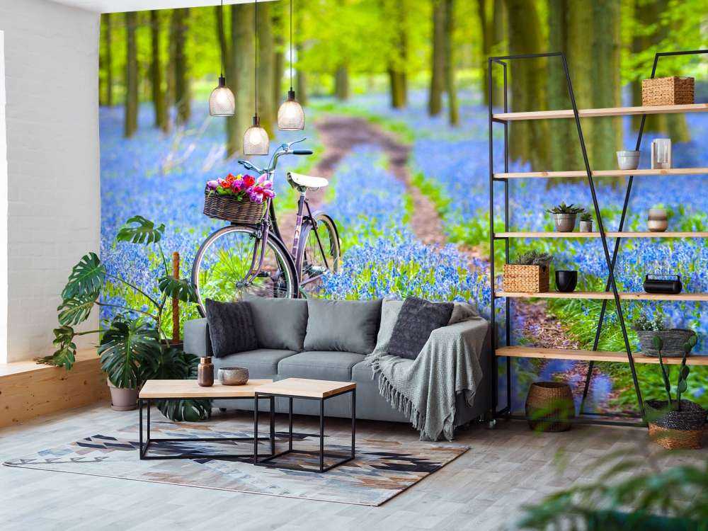 Bicycle in the forest