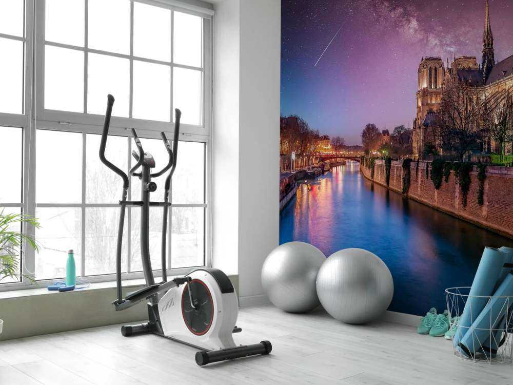 Paris in the evening