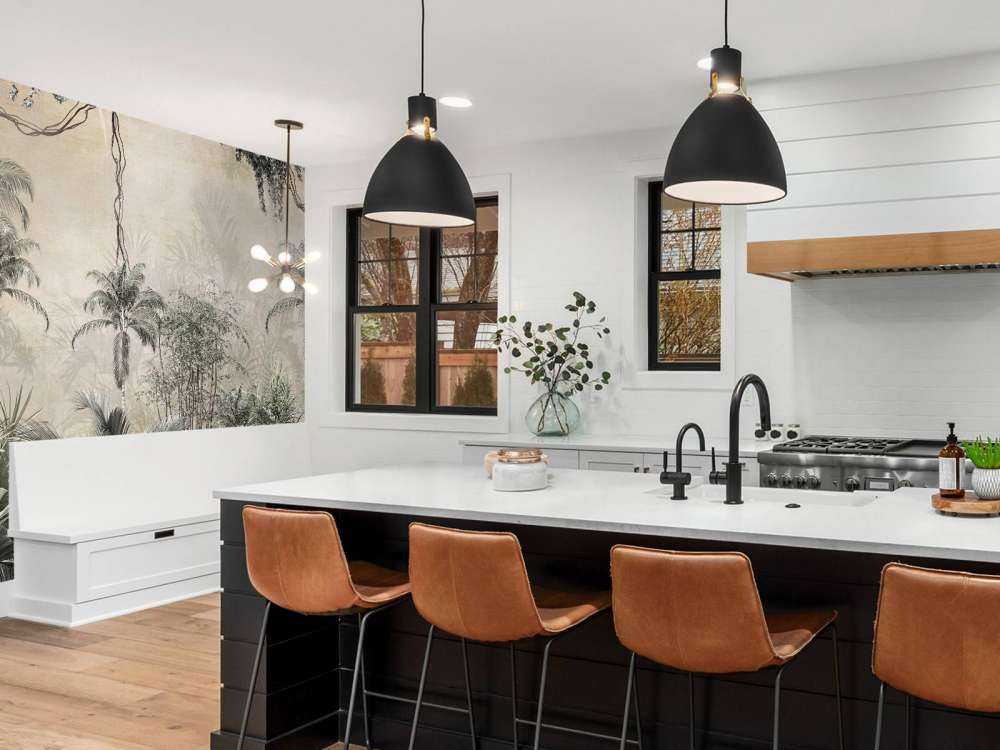 Tropical forest in mist