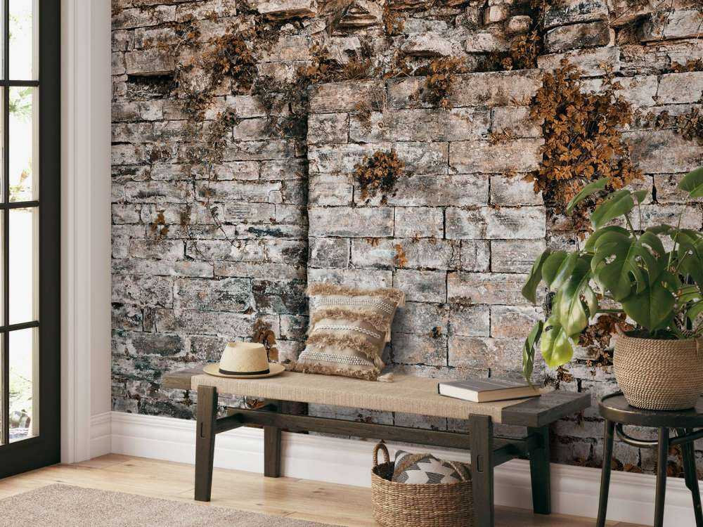 Vegetated wall in autumn