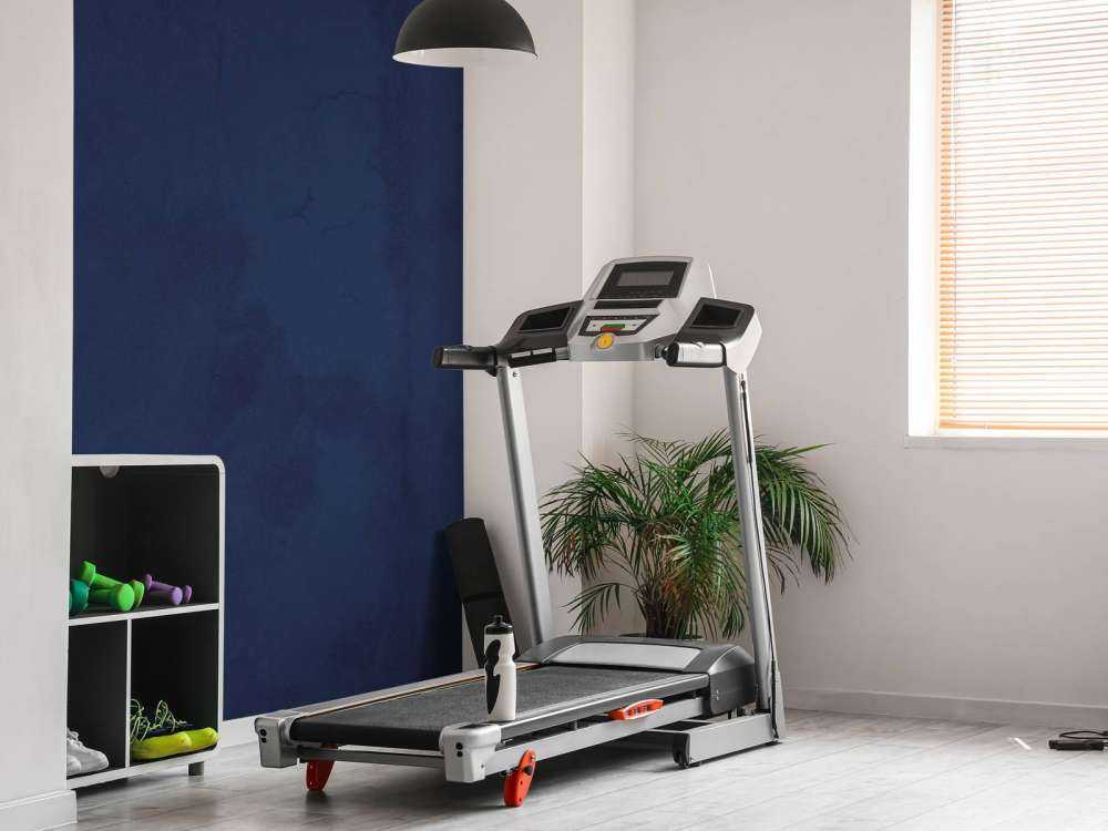 Yankees blue concrete