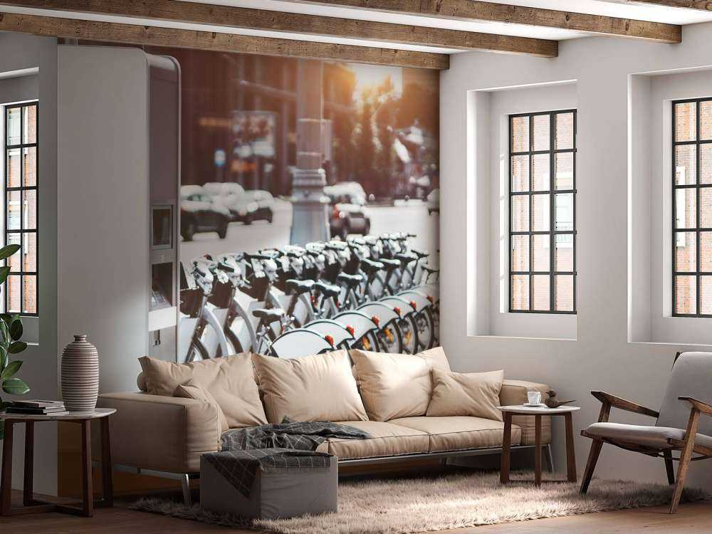 Electric bikes for rent