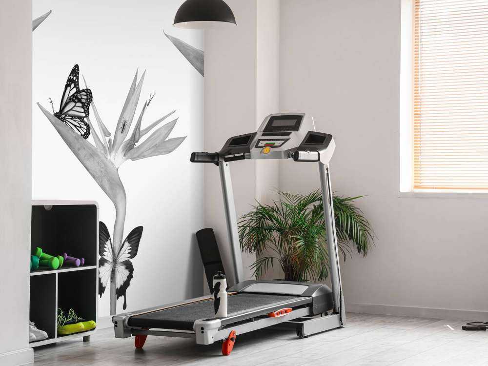 Butterflies on bird of paradise flowers