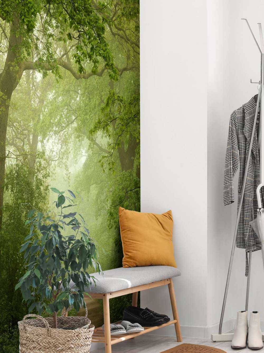 Forest path in the mist