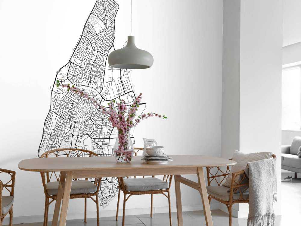 Map of Haarlem, white