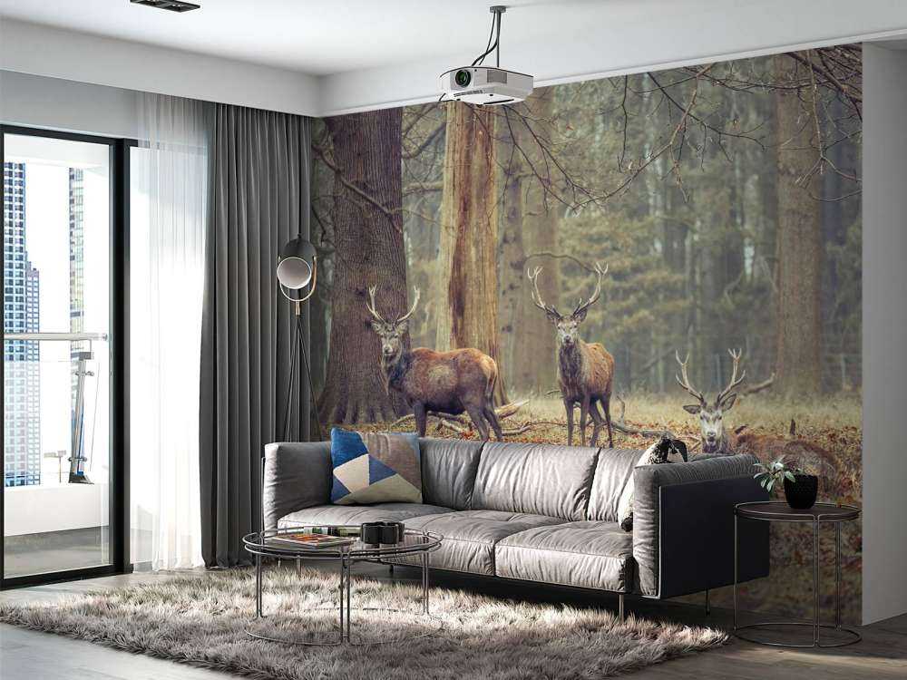 Wild deer