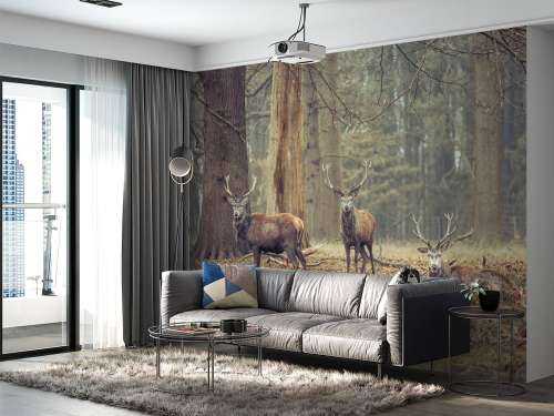 Wild deer