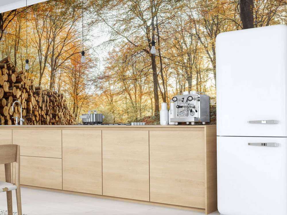 Tree trunks in autumn forest