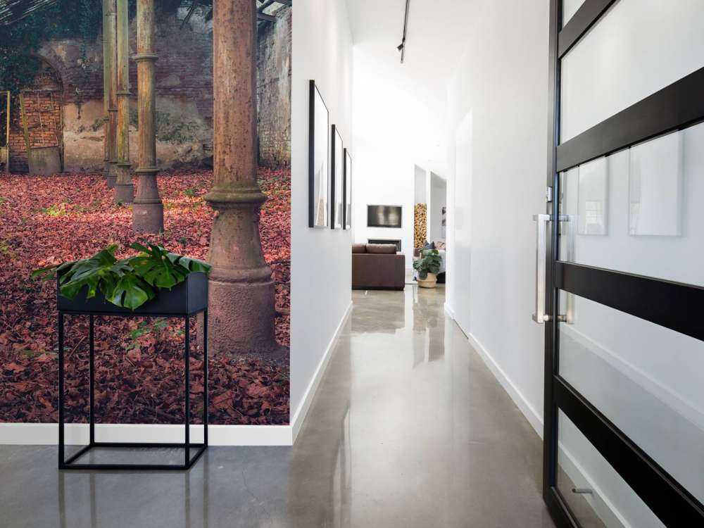 Abandoned house with leaves