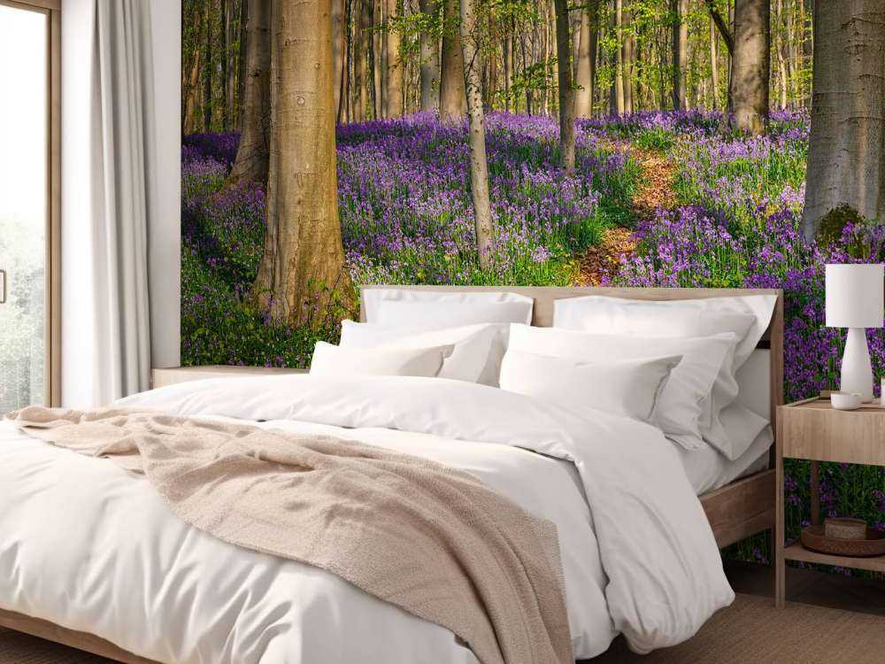 Path through a forest with hyacinths