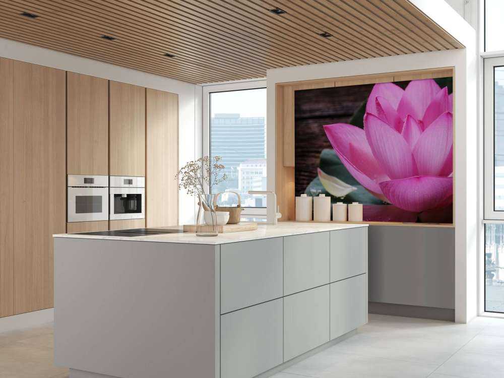 Close-up pink lotus