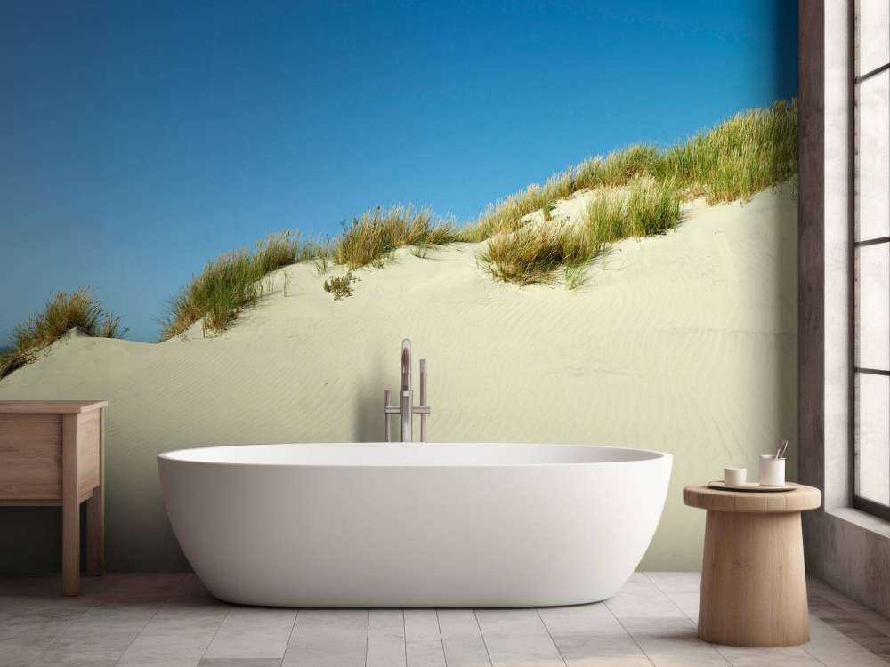 Duinen met blauwe lucht