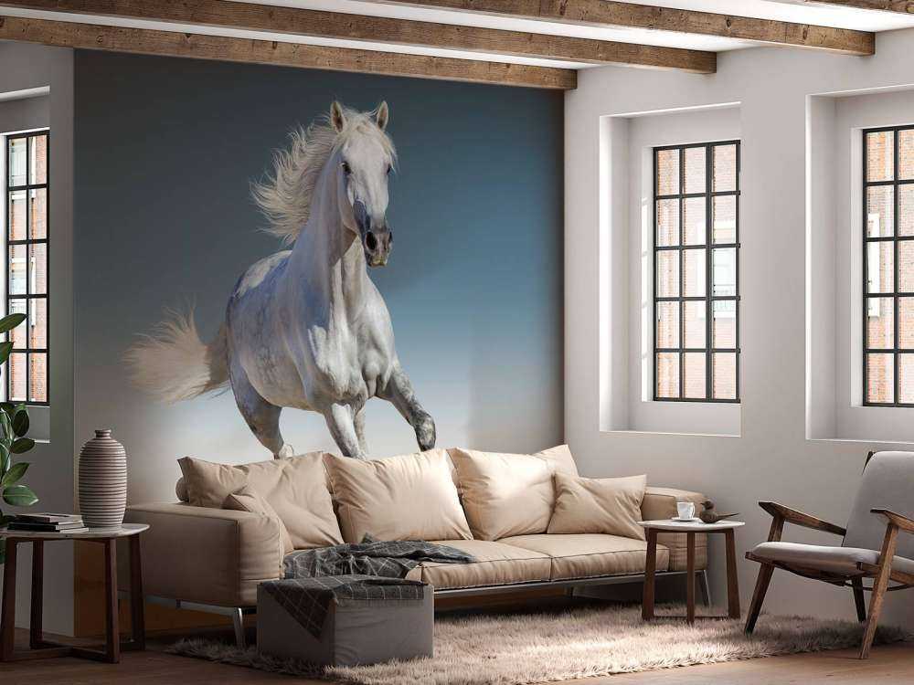 Galloping horse
