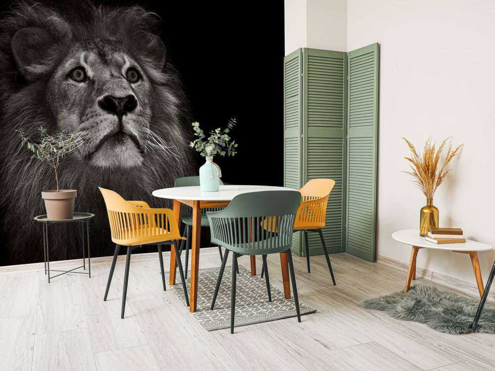 Lion on a black background