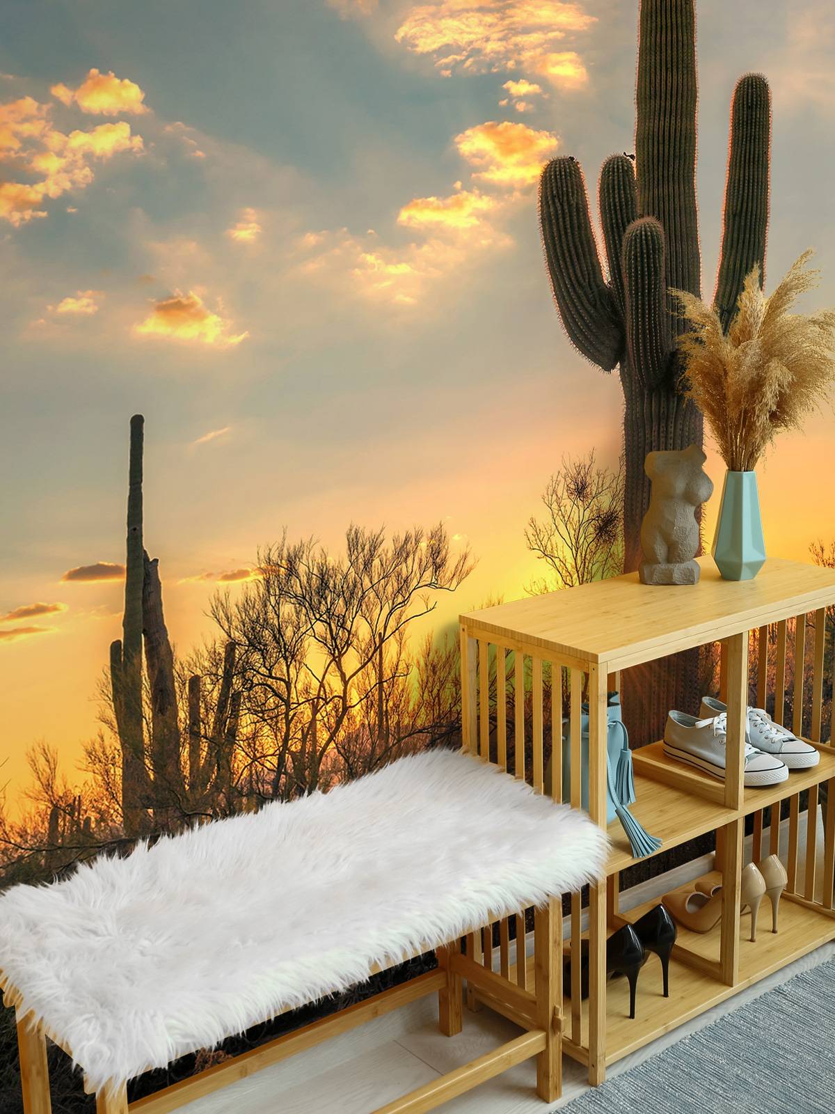 Cactus at sunset