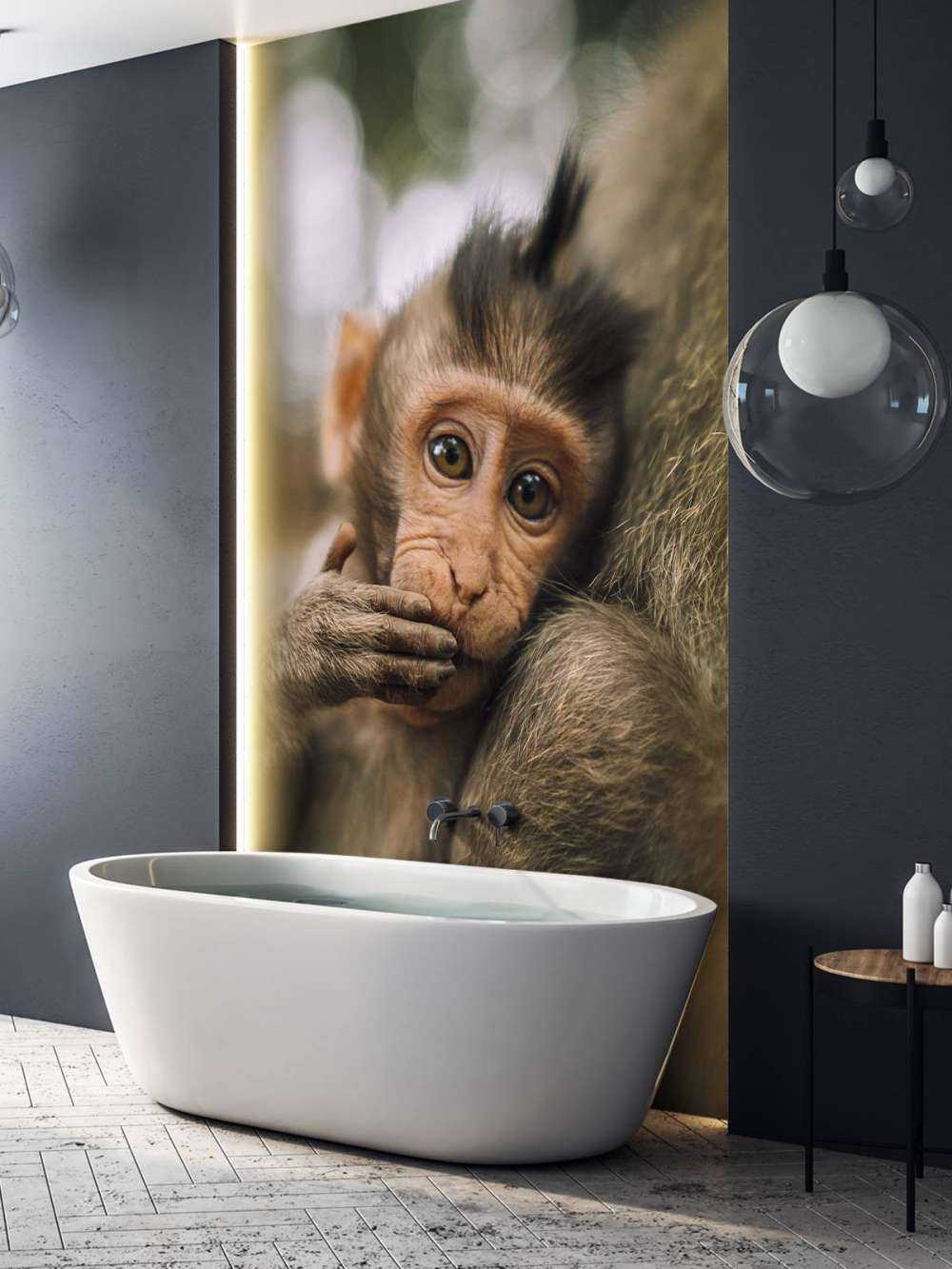 Close-up of a monkey