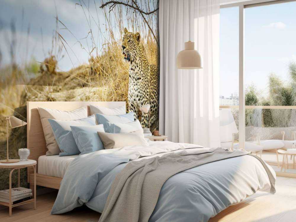 Leopard on the lookout