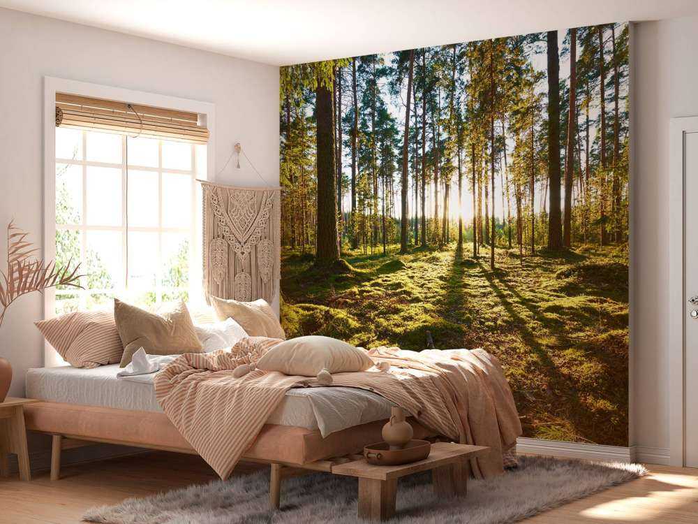 Pine forest