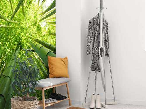 Bamboo
