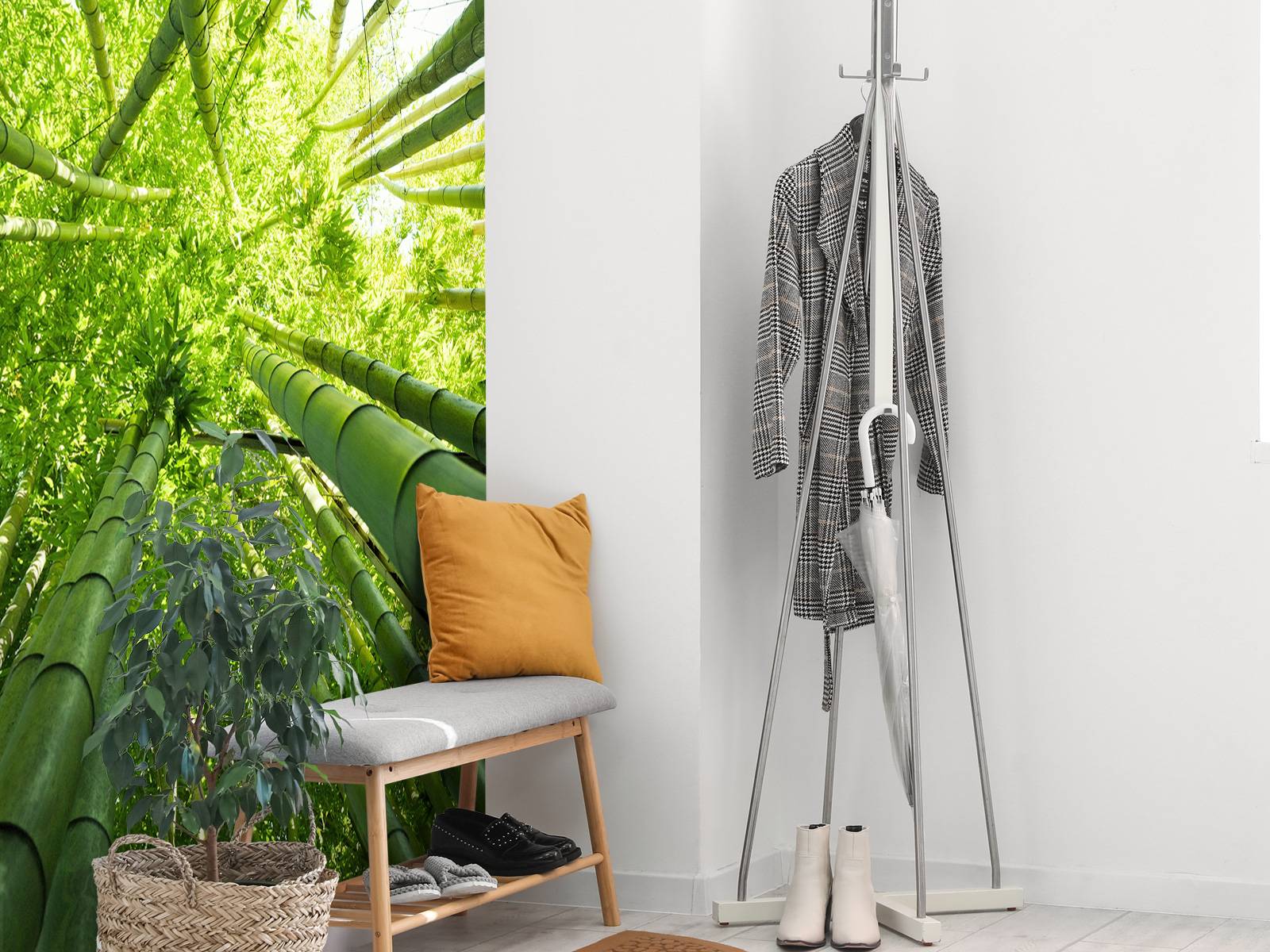 Bamboo