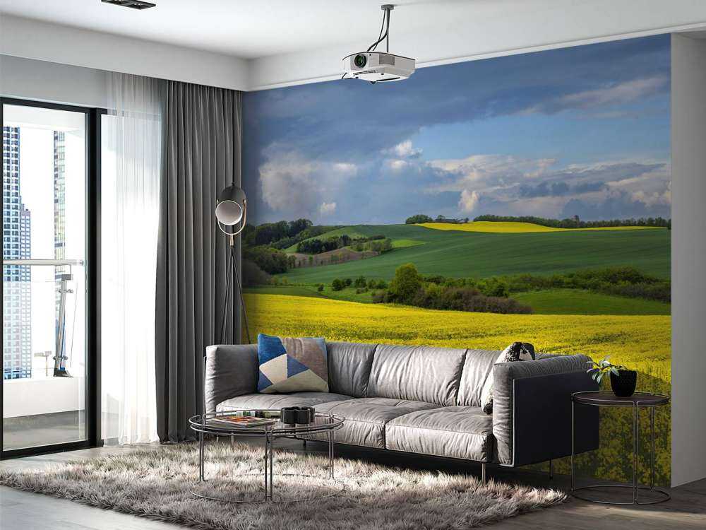 Rapeseed field