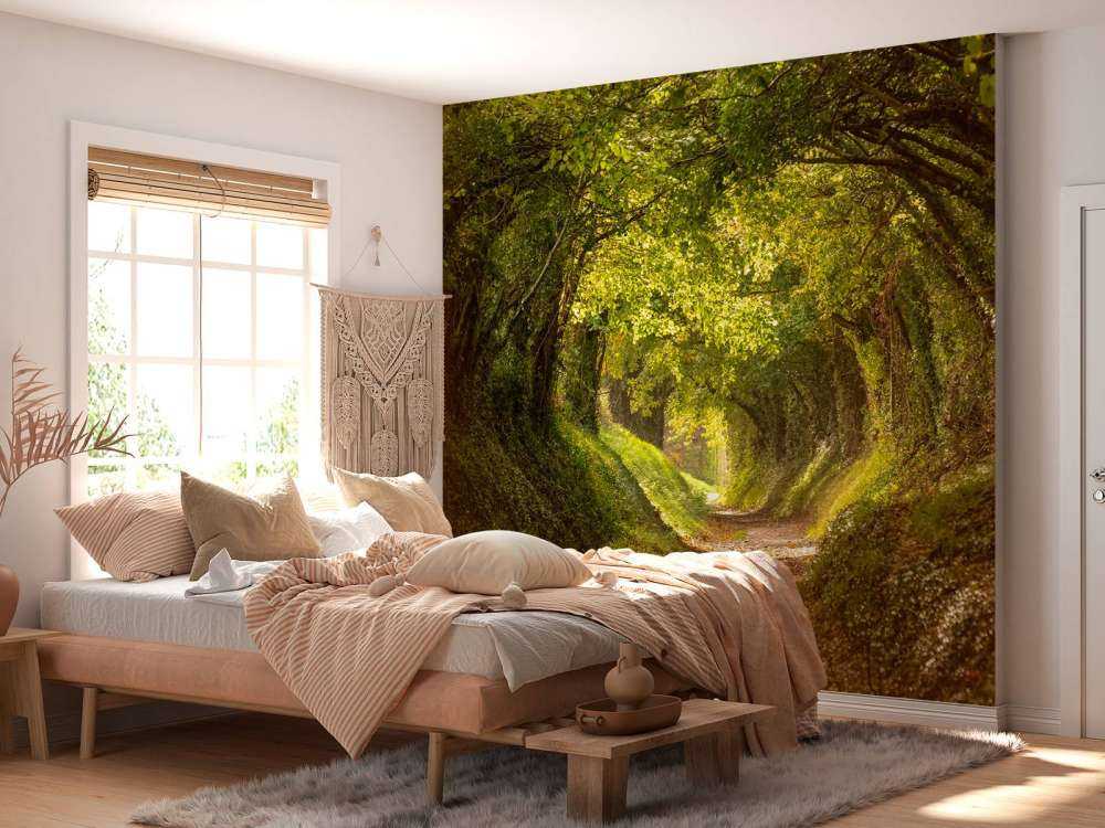 Halnaker tree tunnel